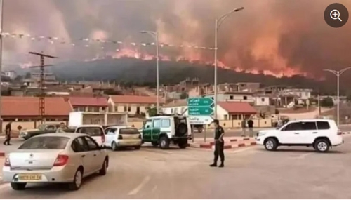 阿尔及利亚北部森林火灾造成26人死亡