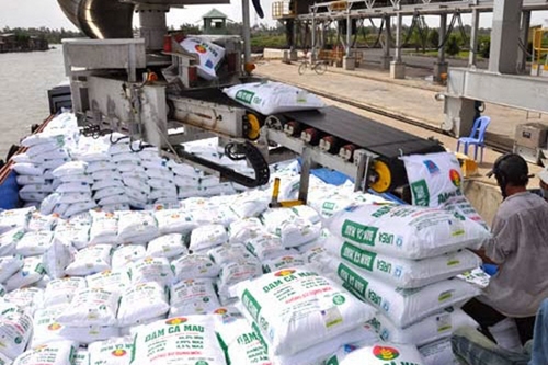 今年前8个月越南肥料出口总额同比增加167 9