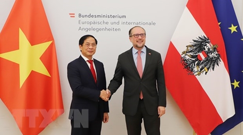 越南外交部长裴青山对奥地利进行正式访问
