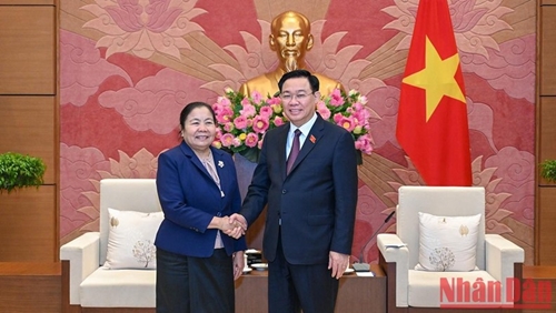 越南国会主席王廷惠会见老挝人民革命党中央组织部部长【组图】