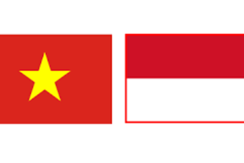 越南-印尼关系的新里程碑