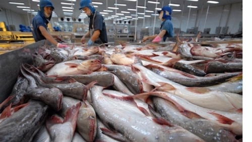 越南楂鱼征服世界140个市场