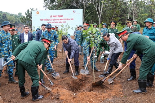 越南总理范明正出席2023年新春植树节启动仪式