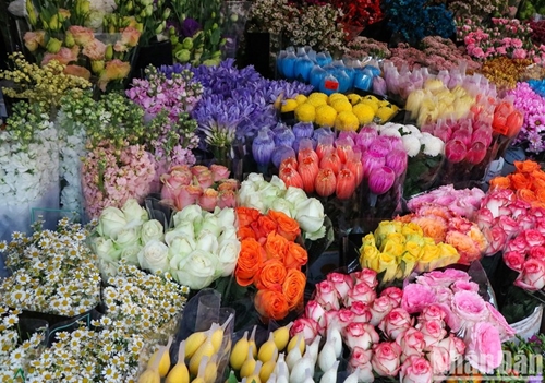 三八国际妇女节即将来临 广安花卉市场五彩缤纷