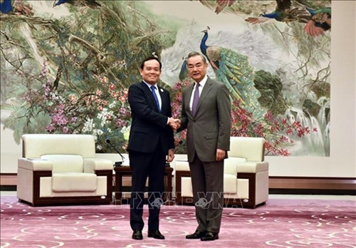 越南政府副总理陈流光会见中国外长王毅