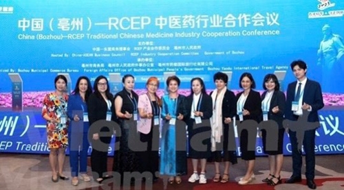 越南出席中国—RCEP中医药行业合作会议
