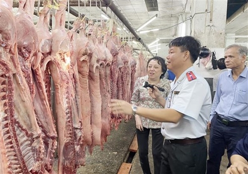 胡志明市成立全国第一个食品安全厅