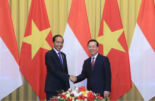 越南国家主席武文赏与印尼总统佐科•维多多举行会谈