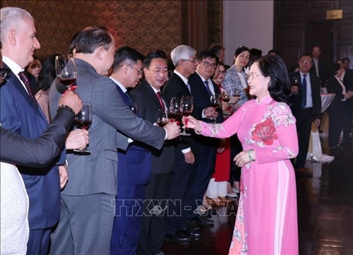 越南胡志明市领导人会见外国机构代表