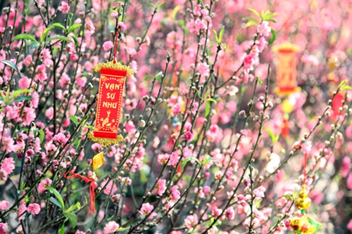 图表新闻：越南传统春节的美好习俗