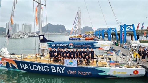 克利伯环球帆船赛：“越南下龙湾”号船队抵达了下龙国际客船港