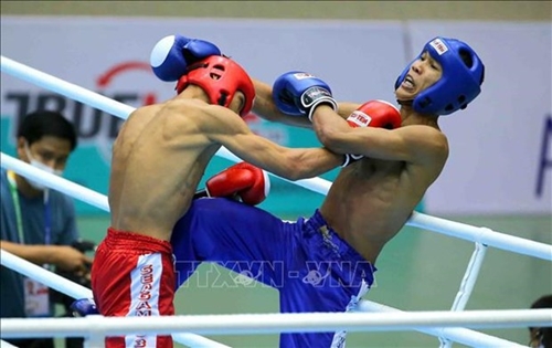 越南平定省即将承办2024年亚洲自由搏击锦标赛