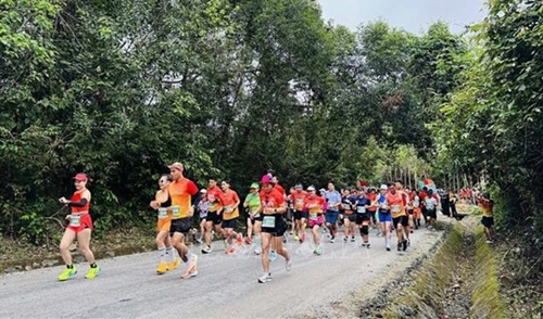 2024年探索广平省马拉松赛吸引2400名运动员参赛