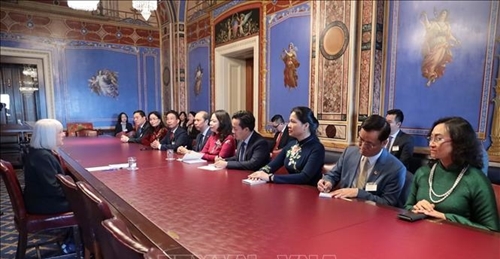 越南国家副主席武氏映春在美国举行各场双边会晤