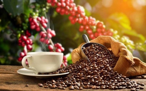 越南咖啡出口价格创下3000美元一吨的新纪录