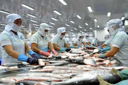 年初两个月中国是越南楂鱼最大出口国
