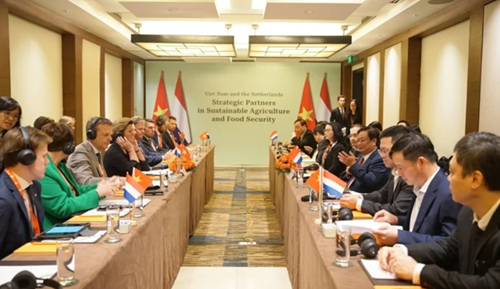 越南与荷兰加强农业合作