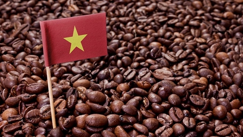 越南成为欧盟第二大咖啡供应国