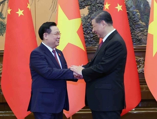 发展与中国的关系是越南的战略选择和头等优先