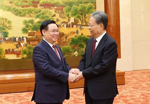 提升越南与中国立法机构的合作层次和水平