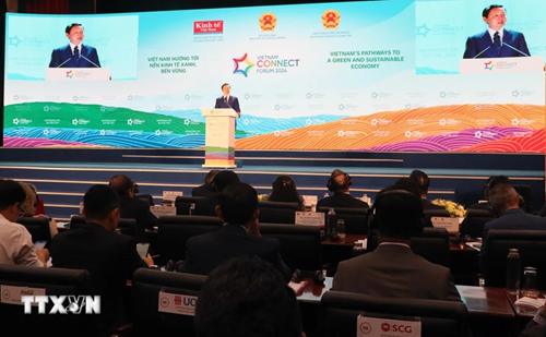 越南政府副总理陈红河出席“2024年越南发展连接论坛”