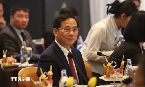越南和泰国推进双边合作机制实施工作
