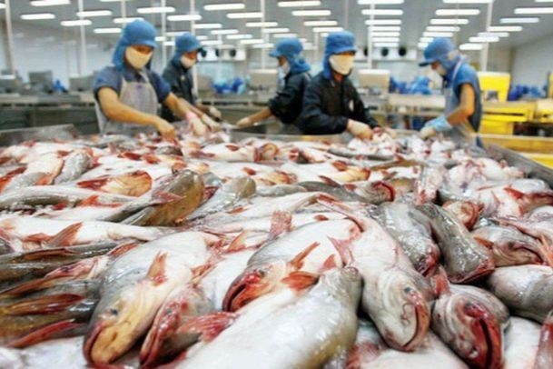 越南对泰国的楂鱼出口额达近300万美元