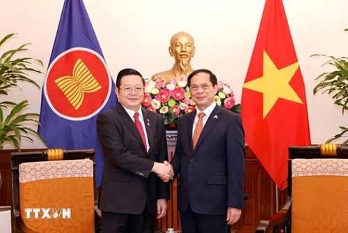 加强越南与东盟秘书处的合作