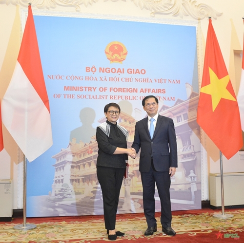 越南-印尼双边合作委员会第五次会议在河内举行