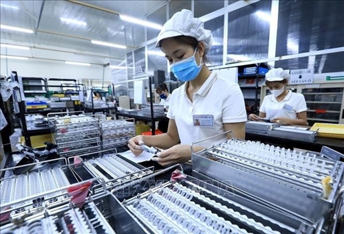 国际专家高度评价越南市场潜力