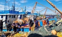 2050年越南将成为渔业可持续、现代化发展的国家