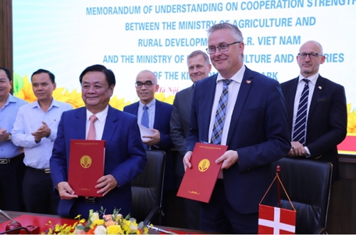 越南和丹麦合作建设可持续型食品体系