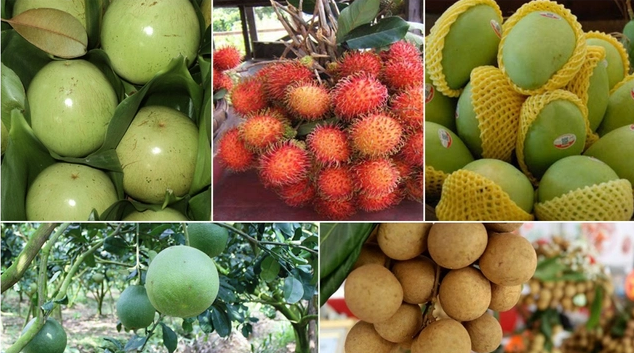 各亚洲市场加大对越南水果的进口力度