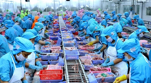 Экспорт вьетнамского пангасиуса в Россию увеличился на 83