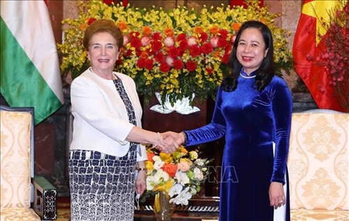 Вице-президент Во Тхи Ань Суан приняла Первого заместителя председателя Парламента Венгрии