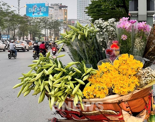 Сезон цветения лилий на улицах Ханоя