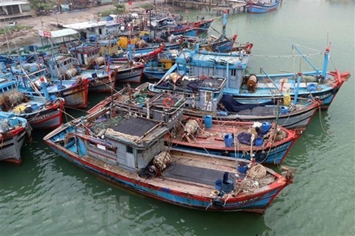 Вьетнам решительно требует от Китая уважать суверенитет Вьетнама на архипелаге Хоангша