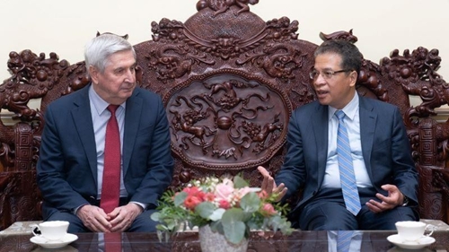 Усилия по развитию многостороннего сотрудничества между Вьетнамом и Россией
