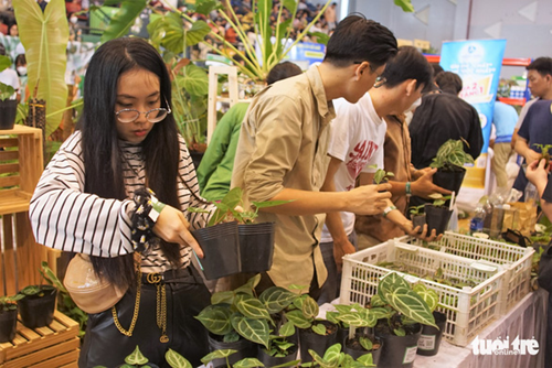 В Хошимине проходит фестиваль экзотических растений