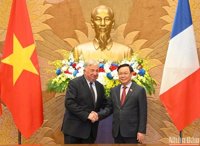 Вьетнам и Франция укрепляют стратегическое партнерство по всем каналам
