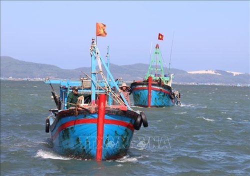 Провинция Фуйен не имеет рыбацких лодок, нарушающих правовые нормы рыбного промысла, благодаря хорошей пропаганде В 2022 году