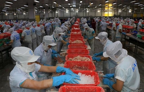 Вьетнамские предприятия в отрасли морепродуктов ожидают восстановление экспорта со второго квартала 2023 года