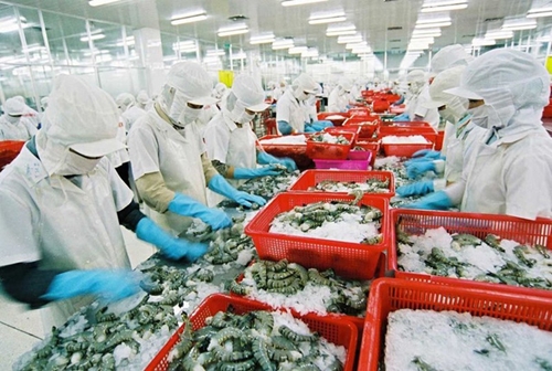Еще 23 вьетнамских предприятия получили разрешение на экспорт морепродуктов в Китай