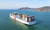 Объем контейнерных грузов, прошедших через морские порты Вьетнама, удвоился за последние 7 лет