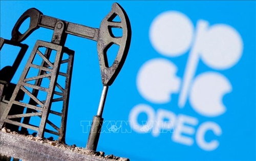ОПЕК+ сокращает добычу нефти на 2024 год
