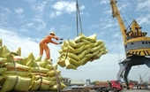 Вьетнам остается крупнейшим поставщиком риса на Филиппины