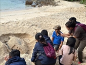 Кондао является важным районом по защите морских черепах в мире