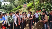 Премьер-министр Фам Минь Тьинь осмотрел сад женьшеня Нгоклинь в провинции Контум
