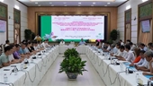 Укрепление торговой связи между предприятиями провинции Донгтхап Вьетнам и провинцией Гуанси Китай