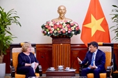Экономическое, торговое и инвестиционное сотрудничество между Вьетнамом и Францией по-прежнему имеет большой потенциал развития